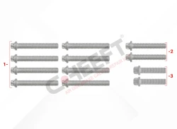CH1308 - Caliper Cover Bolt Kit | CHEEFT