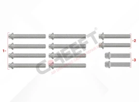 CH1308 - Caliper Cover Bolt Kit | CHEEFT