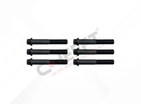 CALIPER CONNECTION BOLT