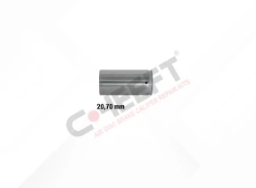 WBC TYPE