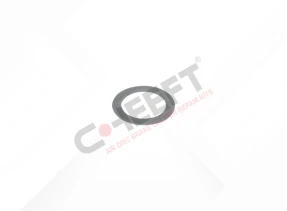 WBC TYPE