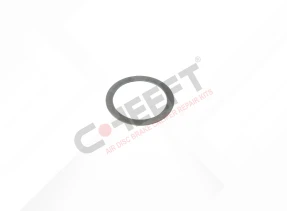 WBC TYPE