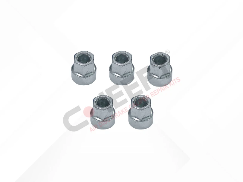 Caliper Adjusting Mechanism Adapter Kit