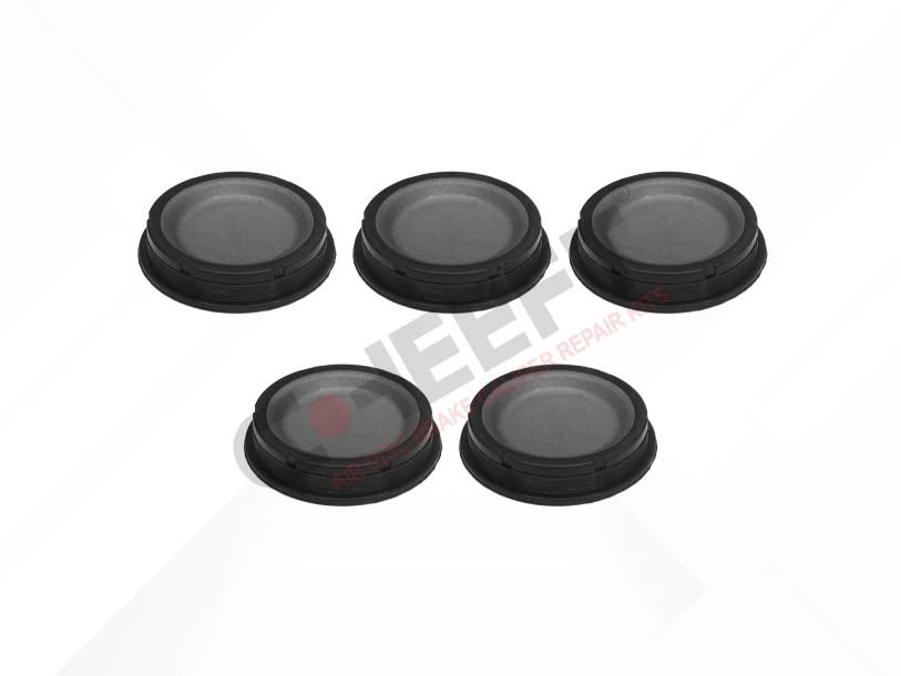 Caliper Plug Kit