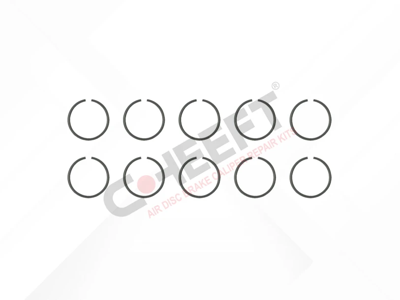 CH1123 - Caliper Circlip Kit | CHEEFT