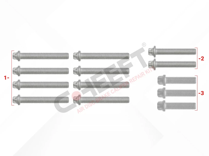 CH1308 - Caliper Cover Bolt Kit | CHEEFT