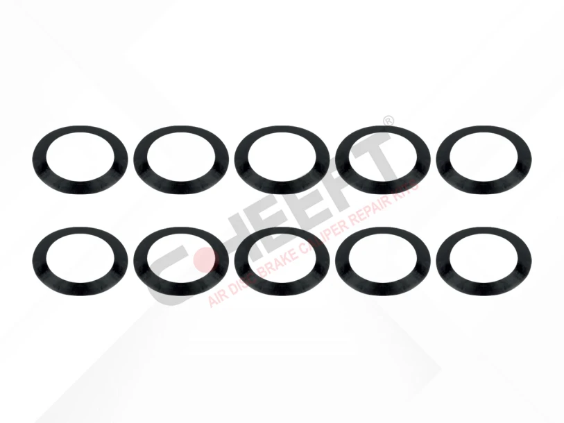 CH2059 - Caliper Washer Kit | CHEEFT