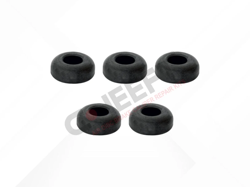 CH2117 - Muelle Placa Kit | CHEEFT