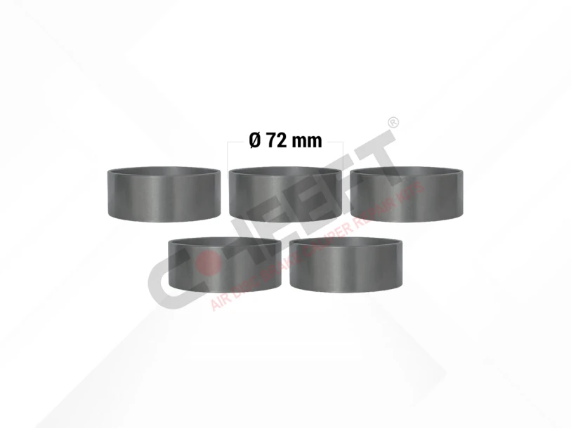 CH2243 - Bearing Outer Race Kit | CHEEFT