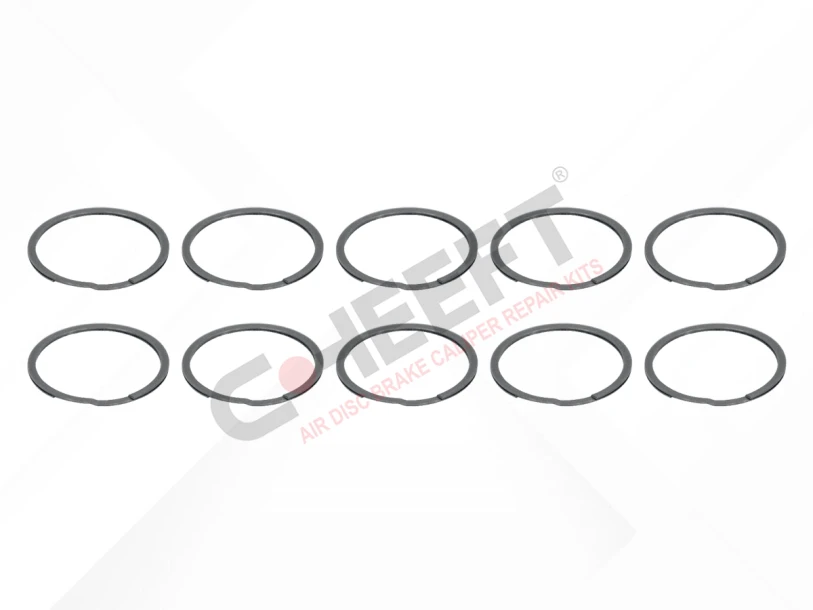 CH2252 - Calibration Bolt Seal Kit | CHEEFT