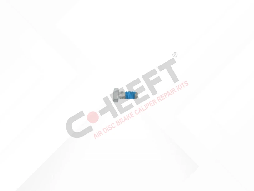 Cover Bolt M12 x 1,75 x 29 mm