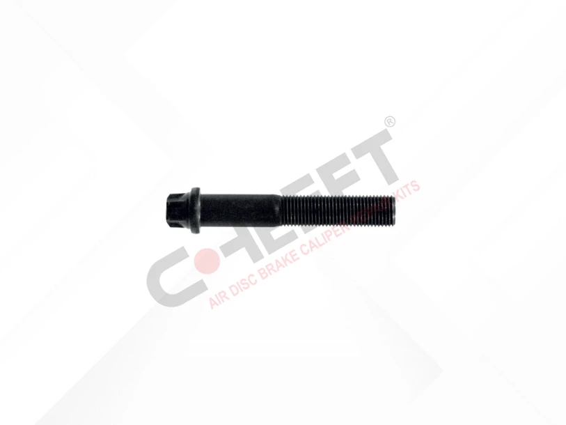CH2811 - Cover Bolt M12 x 1,25 x 70 mm | CHEEFT
