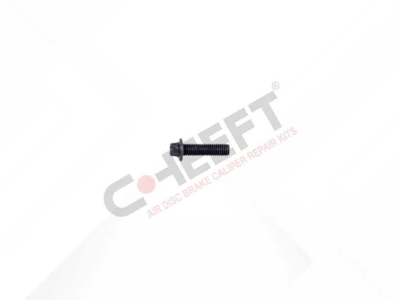 Bolt M8 - 1,25 x 30 mm
