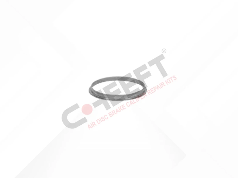 Cailper Tappet Boot Ring